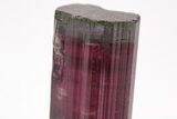 Tri-Colored Elbaite Tourmaline Crystal - Aricanga Mine, Brazil #206245-5